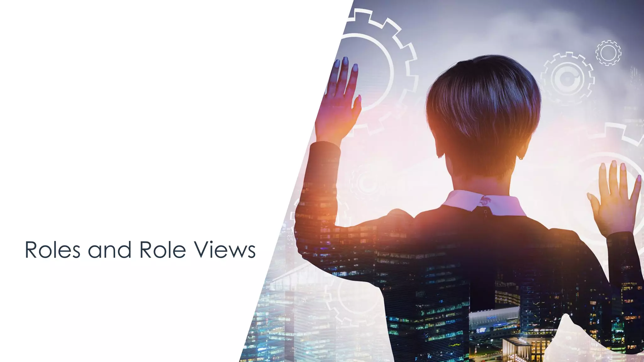 Roles and Role Views
 