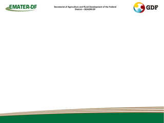 Secretariat of Agriculture and Rural Development of the Federal
                      District – SEAGRI-DF
 