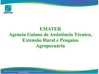 EMATER
Agencia Goiana de Assistência Técnica,
     Extensão Rural e Pesquisa
           Agropecuária



                                         1
 