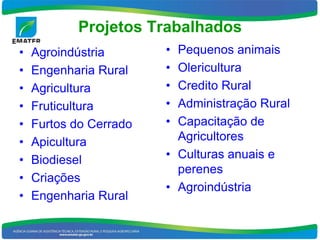 Projetos Trabalhados
•   Agroindústria       • Pequenos animais
•   Engenharia Rural    • Olericultura
•   Agricultura         • Credito Rural
•   Fruticultura        • Administração Rural
•   Furtos do Cerrado   • Capacitação de
•   Apicultura            Agricultores
•   Biodiesel           • Culturas anuais e
                          perenes
•   Criações
                        • Agroindústria
•   Engenharia Rural
 