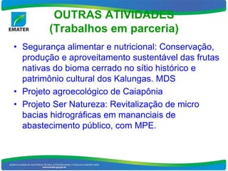OUTRAS ATIVIDADES
        (Trabalhos em parceria)
• Segurança alimentar e nutricional: Conservação,
  produção e aproveitamento sustentável das frutas
  nativas do bioma cerrado no sítio histórico e
  patrimônio cultural dos Kalungas. MDS
• Projeto agroecológico de Caiapônia
• Projeto Ser Natureza: Revitalização de micro
  bacias hidrográficas em mananciais de
  abastecimento público, com MPE.
 