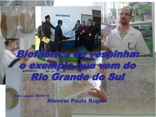 Biofábrica de vespinha:
o exemplo que vem do
Rio Grande do Sul
Sete Lagoas 29/05/15
Alencar Paulo Rugeri
 