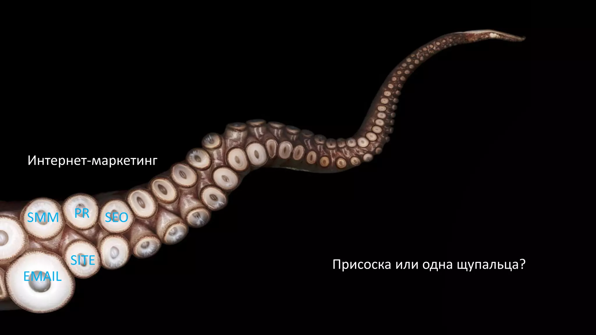 SITE
SMM PR
EMAIL
SEO
Интернет-маркетинг
Присоска или одна щупальца?
 