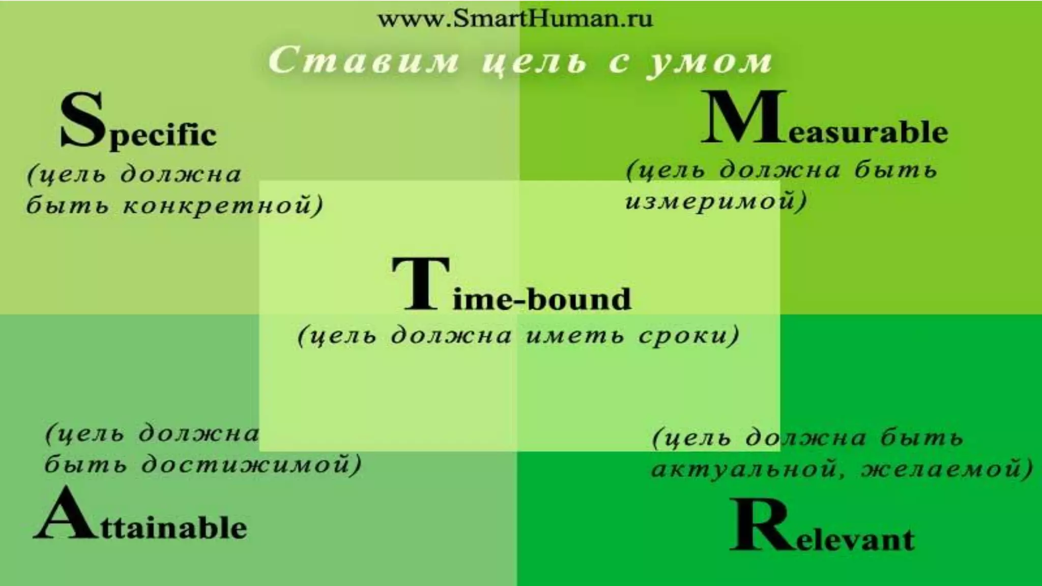 НУЖЕН ВЕСЬ ОСЬМИНОГ…
….БИЗНЕС 
 