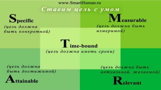 НУЖЕН ВЕСЬ ОСЬМИНОГ…
….БИЗНЕС 
 