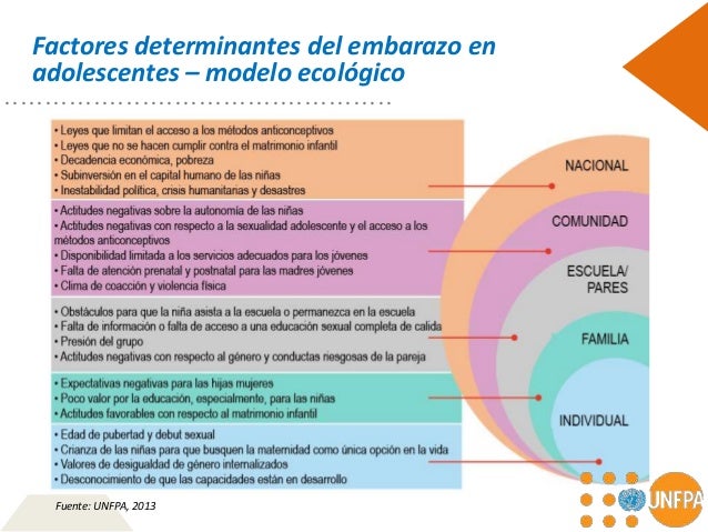 La Situacion Del Embarazo Adolescente En El Peru