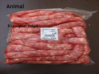 Animal


• Exemplo: Tripa
 