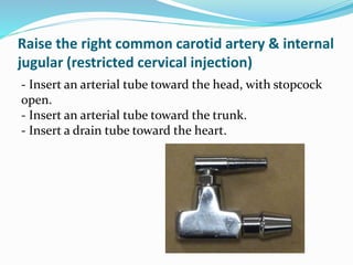 Using Av Plug Before Embalming Embalming i ii & iii | PPTX