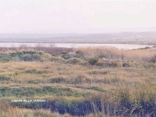 Laguna de Lor (Ablitas) 