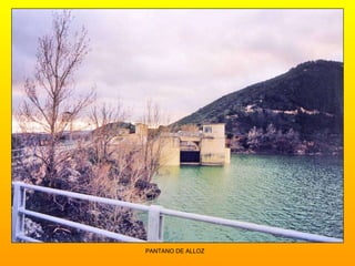 PANTANO DE ALLOZ 
