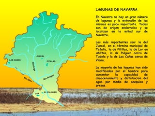 Río Ebro LAGUNAS DE NAVARRA En Navarra no hay un gran número de lagunas y la extensión de las mismas es poco importante. Todas son de origen endorreico y se localizan en la mitad sur de Navarra. Las más importantes son: la del Juncal, en el término municipal de Tafalla, la de Pitillas, la de Lor en Ablitas, la de Pulguer cerca de Tudela y la de Las Cañas cerca de Viana. La mayoría de las lagunas han sido modificadas por el hombre para aumentar la capacidad de almacenamiento y distribución del agua por medio de acequias y presas.  Río Aragón JUNCAL PITILLAS LAS CAÑAS LOR EL PULGUER Río Arga 