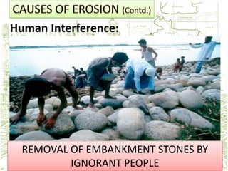 Human Interference:




  REMOVAL OF EMBANKMENT STONES BY
          IGNORANT PEOPLE
 