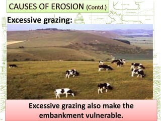 Excessive grazing:




     Excessive grazing also make the
        embankment vulnerable.
 
