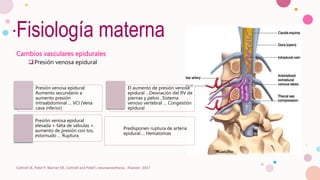 Fisiología materna
Cambios vasculares epidurales
Presión venosa epidural
Cottrell JE, Patel P, Warner DS. Cottrell and Patel's neuroanesthesia : Elsevier; 2017
Presión venosa epidural:
Aumento secundario a
aumento presión
intraabdominal … VCI (Vena
cava inferior)
El aumento de presión venosa
epidural …Desviación del RV de
piernas y pelvis ..Sistema
venoso vertebral … Congestión
epidural
Presión venosa epidural
elevada + falta de válvulas +
aumento de presión con tos,
estornudo … Ruptura
Predisponen ruptura de arteria
epidural…. Hematomas
 