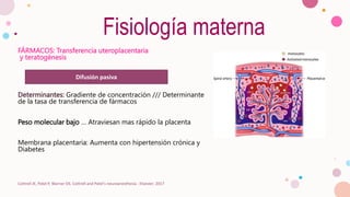 Fisiología materna
FÁRMACOS: Transferencia uteroplacentaria
y teratogénesis
Determinantes: Gradiente de concentración /// Determinante
de la tasa de transferencia de fármacos
Peso molecular bajo … Atraviesan mas rápido la placenta
Membrana placentaria: Aumenta con hipertensión crónica y
Diabetes
Cottrell JE, Patel P, Warner DS. Cottrell and Patel's neuroanesthesia : Elsevier; 2017
Difusión pasiva
 