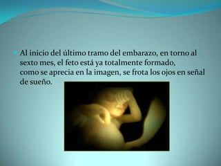 Al inicio del último tramo del embarazo, en torno al sexto mes, el feto está ya totalmente formado,como se aprecia en la imagen, se frota los ojos en señal de sueño.