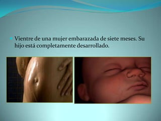 Vientre de una mujer embarazada de siete meses. Su hijo está completamente desarrollado.