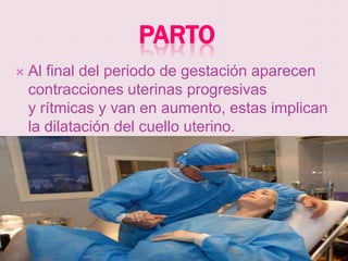 PARTO
   Al final del periodo de gestación aparecen
    contracciones uterinas progresivas
    y rítmicas y van en aumento, estas implican
    la dilatación del cuello uterino.
 