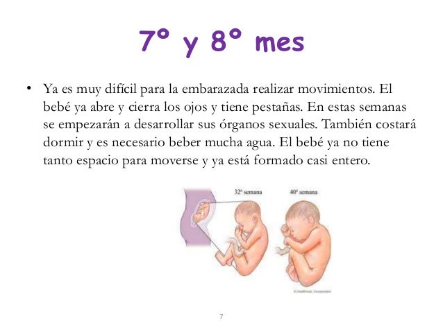 Posicion Del Bebe A Los 7 Meses De Embarazo Consejos De Bebe Posicion Del Bebe A Los 7 Meses De Embarazo Consejos De Bebe