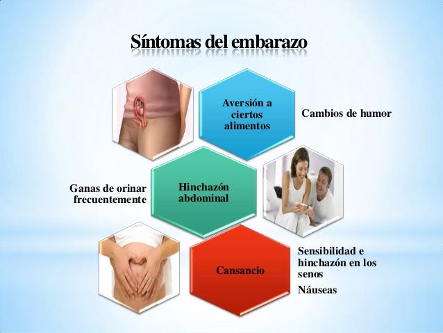 Embarazo Embarazo