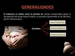El embarazo se define como el periodo de tiempo comprendido desde la
fecundación del óvulo hasta el parto, su duración aproximada es de 280 días,
(de 37 a 40 semanas)

ANATOMICOS
Cambios

BIOQUIMICOS
FISIOLOGICOS

 