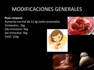 MODIFICACIONES GENERALES
Peso corporal
Aumento normal de 11 kg (valor promedio)
1trimestre: 1kg
2do trimestre: 5kg
3er trimestre: 5kg
Total: 11kg

 