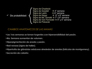  De probabilidad:

Signo de Chadwick
Signo de Goodell
 4° semana
Signo de Ladín
 6° semana
Signo de Hegar
 6° y 8° semana
Signo de Mc. Donald  7° y 8° semana
Signo de Von Fernwald  4° y 5° semana
Signo de Piskacek

CAMBIOS ANATOMICOS DE LAS MAMAS
•Las 1ras semanas se tornan turgentes con hipersensibilidad del pezón.
•4ta. Semana aumentan de volumen.
•Hiperpigmentación de areola y pezón.
•Red venosa (signo de haller).
•Hipertrofia de glándulas sebáceas alrededor de areolas (folículos de montgomery).
•Secreción de calostro

 