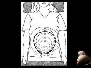 Fisiologia del embarazo
