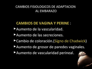 CAMBIOS FISIOLOGICOS DE ADAPTACION
AL EMBARAZO

CAMBIOS DE VAGINA Y PERINE :
Aumento de la vascularidad.
Aumento de las secreciones.
Cambio de coloración.(Sígno de Chadwick)
Chadwick
Aumento de grosor de paredes vaginales.
Aumento de vascularidad perineal.
35

 