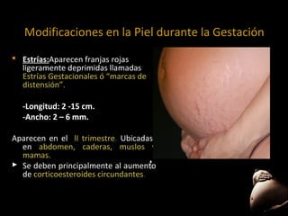 Modificaciones en la Piel durante la Gestación
 Estrías:Aparecen franjas rojas
ligeramente deprimidas llamadas
Estrías Gestacionales ó “marcas de
distensión”.
-Longitud: 2 -15 cm.
-Ancho: 2 – 6 mm.
Aparecen en el lI trimestre. Ubicadas
en abdomen, caderas, muslos y
mamas.
 Se deben principalmente al aumento
de corticoesteroides circundantes.

 
