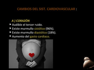 CAMBIOS DEL SIST. CARDIOVASCULAR :
A ) CORAZÓN
 Audible el tercer ruido.
 Existe murmullo sistólico (96%).
 Existe murmullo diastólico (18%).
 Aumento del gasto cardiaco.
cardiaco

 