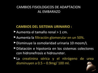 CAMBIOS FISIOLOGICOS DE ADAPTACION
AL EMBARAZO

CAMBIOS DEL SISTEMA URINARIO :
 Aumenta el tamaño renal > 1 cm.
 Aumenta la filtración glomerular en un 50%.
50%
 Disminuye la osmolaridad urinaria 10 mosm/L
 Dilatación e hipotonía en los sistemas colectores
con hidronefrosis e hidroureter.
 La creatinina sérica y el nitrógeno de urea
disminuyen a 0.5 – 0.9mg/ 100 ml.
52

 