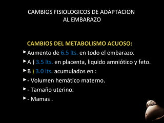 CAMBIOS FISIOLOGICOS DE ADAPTACION
AL EMBARAZO

CAMBIOS DEL METABOLISMO ACUOSO:
 Aumento de 6.5 lts. en todo el embarazo.
lts
 A ) 3.5 lts. en placenta, liquido amniótico y feto.
lts
 B ) 3.0 lts. acumulados en :
lts
 - Volumen hemático materno.
 - Tamaño uterino.
 - Mamas .
55

 
