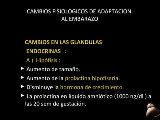 CAMBIOS FISIOLOGICOS DE ADAPTACION
AL EMBARAZO

CAMBIOS EN LAS GLANDULAS
ENDOCRINAS :
A ) Hipófisis :
 Aumento de tamaño.
 Aumento de la prolactina hipofisaria.
hipofisaria
 Disminuye la hormona de crecimiento.
crecimiento
 La prolactina en líquido amniótico (1000 ng/dl ) a
las 20 sem de gestación.
58

 