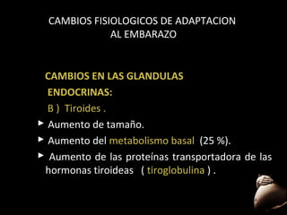 CAMBIOS FISIOLOGICOS DE ADAPTACION
AL EMBARAZO

CAMBIOS EN LAS GLANDULAS
ENDOCRINAS:
B ) Tiroides .
 Aumento de tamaño.
 Aumento del metabolismo basal (25 %).
 Aumento de las proteínas transportadora de las
hormonas tiroideas ( tiroglobulina ) .
59

 