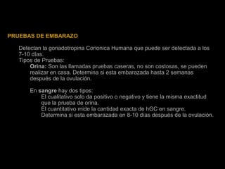 PRUEBAS DE EMBARAZO
Detectan la gonadotropina Corionica Humana que puede ser detectada a los
7-10 días.
Tipos de Pruebas:
Orina: Son las llamadas pruebas caseras, no son costosas, se pueden
realizar en casa. Determina si esta embarazada hasta 2 semanas
después de la ovulación.
En sangre hay dos tipos:
El cualitativo solo da positivo o negativo y tiene la misma exactitud
que la prueba de orina.
El cuantitativo mide la cantidad exacta de hGC en sangre.
Determina si esta embarazada en 8-10 días después de la ovulación.

 