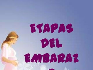 ETAPAS
DEL
EMBARAZ