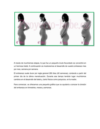 A través de muchísimas etapas, lo que fue un pequeño óvulo fecundado se convertirá en
un hermoso bebé. A continuación os mostraremos el desarrollo de vuestro embarazo mes
por mes, semana por semana.
El embarazo suele durar por regla general 280 días (40 semanas), contando a partir del
primer día de la última menstruación. Durante ese tiempo tendrán lugar muchísimos
cambios en el desarrollo del bebé y, tanto físicos como psíquicos, en la madre.
Para comenzar, os ofrecemos una pequeña gráfica que os ayudará a conocer la división
del embarazo en trimestres, meses y semanas.
 