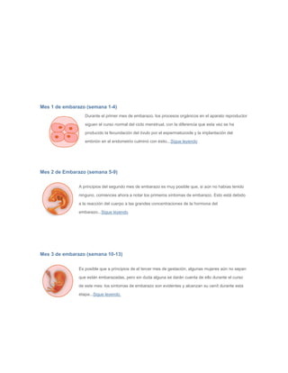 Mes 1 de embarazo (semana 1-4)
Durante el primer mes de embarazo, los procesos orgánicos en el aparato reproductor
siguen el curso normal del ciclo menstrual, con la diferencia que esta vez se ha
producido la fecundación del óvulo por el espermatozoide y la implantación del
embrión en el endometrio culminó con éxito...Sigue leyendo
Mes 2 de Embarazo (semana 5-9)
A principios del segundo mes de embarazo es muy posible que, si aún no habías tenido
ninguno, comiences ahora a notar los primeros síntomas de embarazo. Esto está debido
a la reacción del cuerpo a las grandes concentraciones de la hormona del
embarazo...Sigue leyendo
Mes 3 de embarazo (semana 10-13)
Es posible que a principios de el tercer mes de gestación, algunas mujeres aún no sepan
que están embarazadas, pero sin duda alguna se darán cuenta de ello durante el curso
de este mes: los síntomas de embarazo son evidentes y alcanzan su cenít durante esta
etapa...Sigue leyendo
 