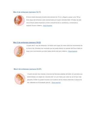 Mes 4 de embarazo (semana 14-17)
El futuro bebé alcanzará durante esta semana los 18 cm y llegará a pesar unos 180 gr.
Esta etapa del embarazo está caracterizada por la gran actividad fetal. A finales de este
mes el futuro bebé emperazá a tomar consciencia de su existencia y comenzará a
explorar el seno materno...Sigue leyendo
Mes 5 de embarazo (semana 18-22)
A partir del 5° mes de embarazo, la madre será capaz de notar todos los movimientos de
su futuro hijo. Estudios han mostrado que se puede deducir el carácter del futuro bebé en
base a los movimientos que éste realiza dentro del seno materno...Sigue leyendo
Mes 6 de embarazo (semana 23-27)
A partir de este mes notarás a menudo las famosas patadas del bebé, el cual estira sus
extremidades con objeto de „hacerse sitio“ en una matriz que cada vez se le hace más
pequeña. El feto no puede moverse con la soltura de los meses anteriores: la época de
dar volteretas se ha acabado para él....Sigue leyendo
 
