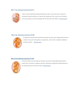 Mes 7 de embarazo (semana 28-31)
Ahora tu futuro bebé llena prácticamente todo el útero, es por eso que se reduce la
cantidad de líquido amniótico y el tamaño de la placenta. Poco a poco se va formando
una capa de grasa, la cual le protegerá del frío fuera del seno materno...Sigue leyendo
Mes 8 de embarazo (semana 32-36)
El esperado momento del nacimiento está cada vez más cerca. Seguramente ahora te
asaltan otro tipo de interrogantes e inquietudes. ¿Cómo será? ¿Surgirán problemas
durante el parto?. ...Sigue leyendo
Mes 9 de embarazo (semana 37-40)
Durante el último mes de embarazo el bebé, que ya se ha desarrollado plenamente y
puede venir al mundo en cualquier momento, reforzará sus defensas beneficiandose de
los anticuerpos que recibe de la madre...Sigue leyendo
 