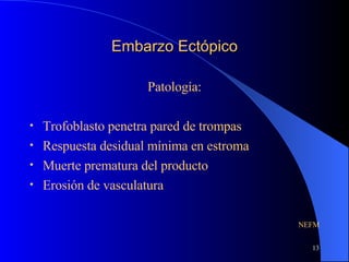 Embarzo Ectópico Patología: Trofoblasto penetra pared de trompas Respuesta desidual mínima en estroma  Muerte prematura del producto Erosión de vasculatura NEFM 