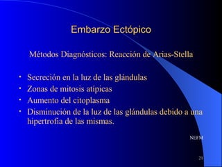 Embarzo Ectópico Métodos Diagnósticos: Reacción de Arias-Stella Secreción en la luz de las glándulas Zonas de mitosis atípicas Aumento del citoplasma Disminución de la luz de las glándulas debido a una hipertrofia de las mismas. NEFM 