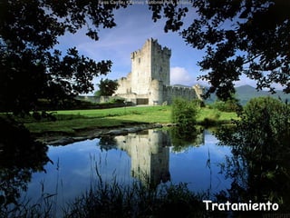 Tratamiento 