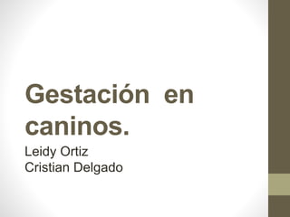 Gestación en
caninos.
Leidy Ortiz
Cristian Delgado
 