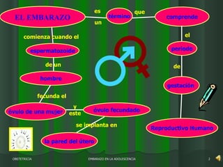 EMBARAZO EN LA ADOLESCENCIA OBSTETRICIA EL EMBARAZO término periodo Reproductivo Humano gestación  comprende espermatozoide óvulo de una mujer óvulo fecundado hombre la pared del útero el que de fecunda el comienza cuando el un es de un y este se implanta en 