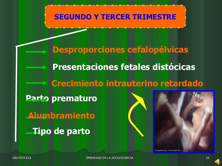 Embarazo En La Adolescencia