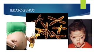 TERATÓGENOS