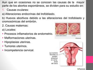 Aun que en ocasiones no se conocen las causas de la mayor
parte de los abortos espontáneos, se dividen para su estudio en:
1. Causas ovulares:
a) Alteraciones endocrinas del trofoblasto.
b) Huevos abortivos debido a las alteraciones del trofoblasto y
cromosómicas del embrión.
2. Causas maternas:
a) Locales:
 Procesos inflamatorios de endometrio.
 Malformaciones uterinas.
 Hipoplasias uterinas.
 Tumores uterinos.
 Incompetencia cervical.
 