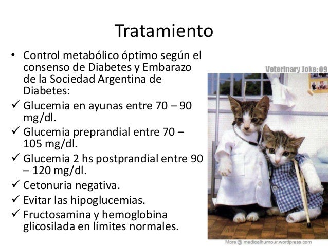 Embarazo diabetes Embarazo diabetes